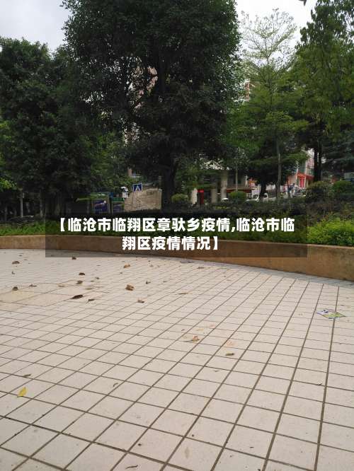 【临沧市临翔区章驮乡疫情,临沧市临翔区疫情情况】-第3张图片