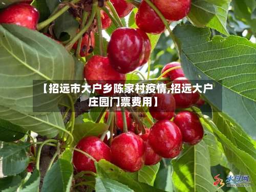 【招远市大户乡陈家村疫情,招远大户庄园门票费用】-第3张图片