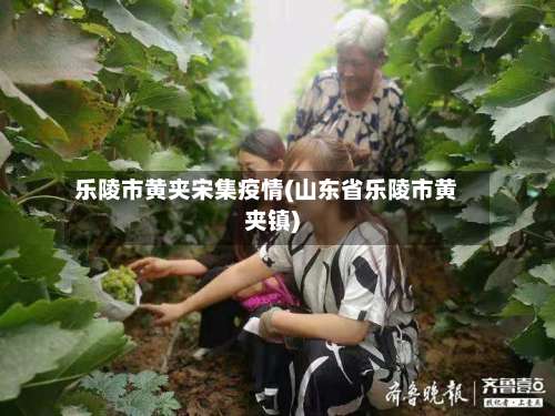 乐陵市黄夹宋集疫情(山东省乐陵市黄夹镇)-第1张图片