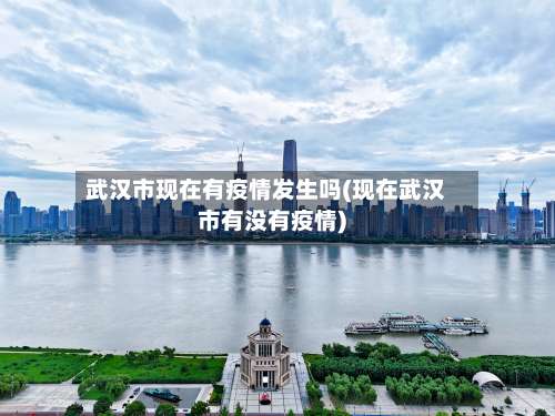 武汉市现在有疫情发生吗(现在武汉市有没有疫情)-第1张图片