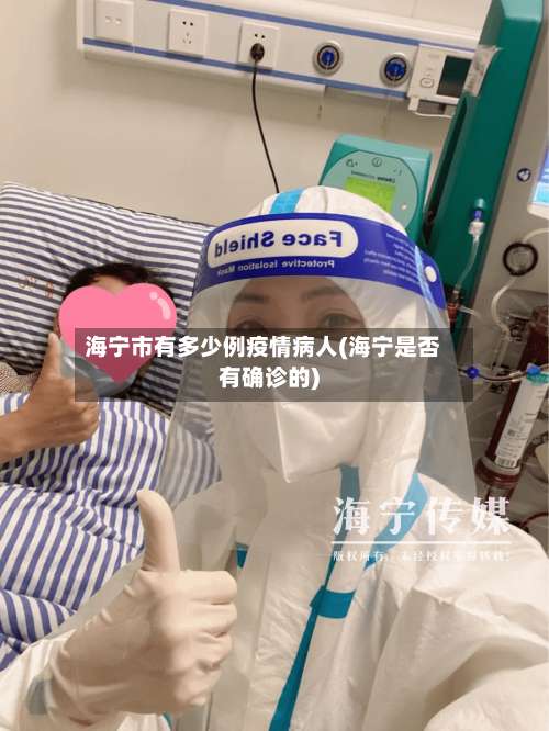 海宁市有多少例疫情病人(海宁是否有确诊的)-第2张图片