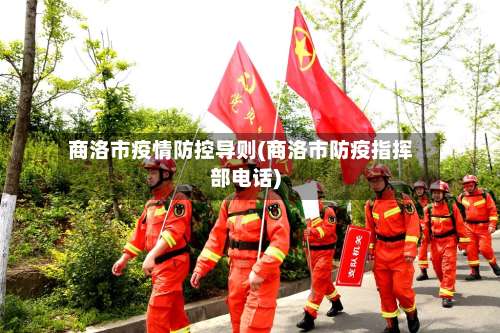 商洛市疫情防控导则(商洛市防疫指挥部电话)-第2张图片