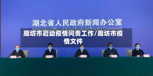 廊坊市启动疫情问责工作/廊坊市疫情文件-第1张图片