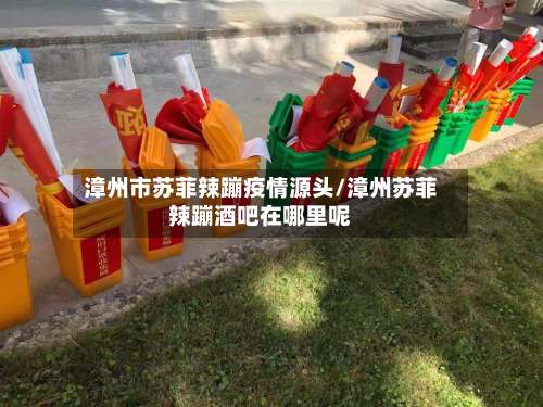 漳州市苏菲辣蹦疫情源头/漳州苏菲辣蹦酒吧在哪里呢-第2张图片