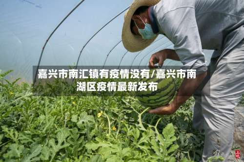 嘉兴市南汇镇有疫情没有/嘉兴市南湖区疫情最新发布-第1张图片