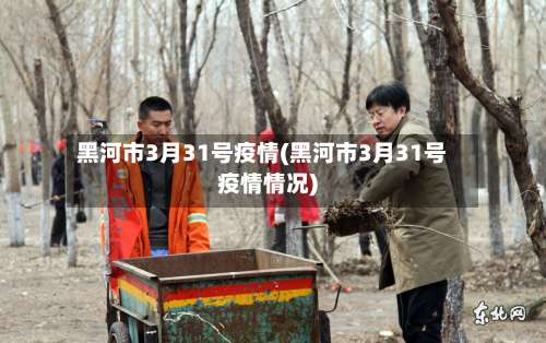 黑河市3月31号疫情(黑河市3月31号疫情情况)-第1张图片
