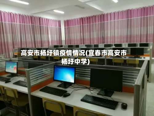 高安市杨圩镇疫情情况(宜春市高安市杨圩中学)-第1张图片