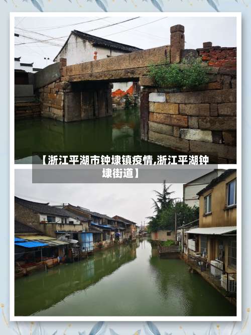 【浙江平湖市钟埭镇疫情,浙江平湖钟埭街道】-第3张图片