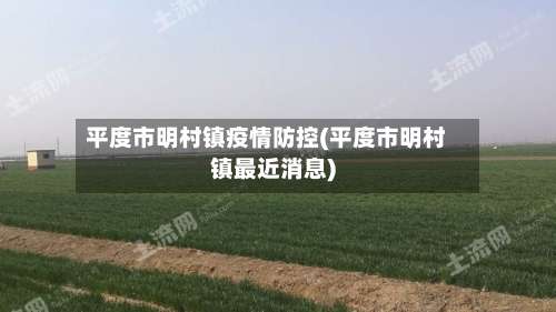 平度市明村镇疫情防控(平度市明村镇最近消息)-第1张图片