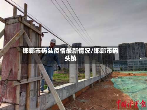 邯郸市码头疫情最新情况/邯郸市码头镇-第1张图片