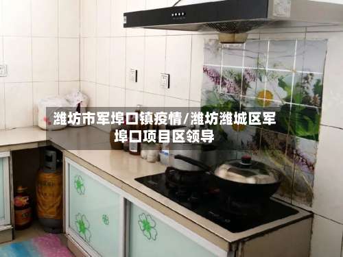 潍坊市军埠口镇疫情/潍坊潍城区军埠口项目区领导-第1张图片