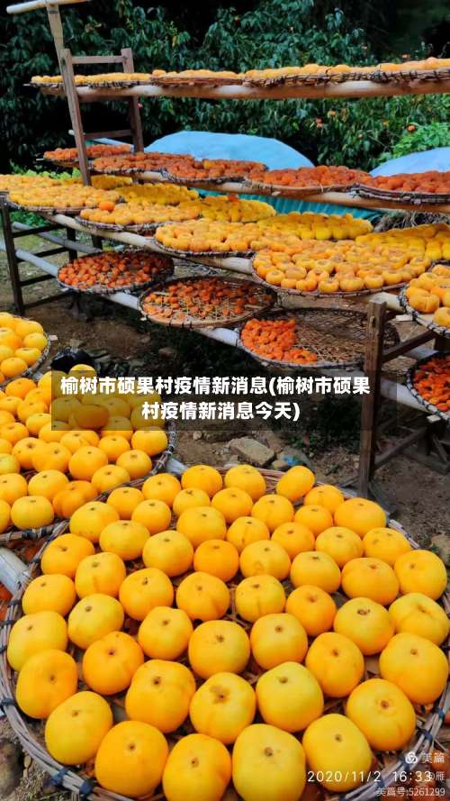 榆树市硕果村疫情新消息(榆树市硕果村疫情新消息今天)-第1张图片