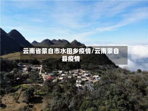 云南省蒙自市水田乡疫情/云南蒙自县疫情-第2张图片