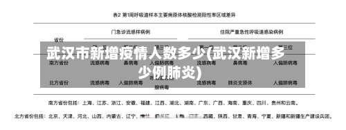 武汉市新增疫情人数多少(武汉新增多少例肺炎)-第1张图片