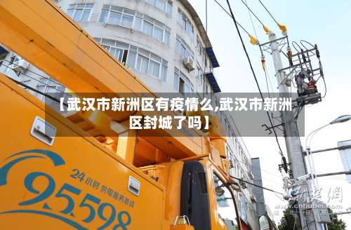 【武汉市新洲区有疫情么,武汉市新洲区封城了吗】-第1张图片
