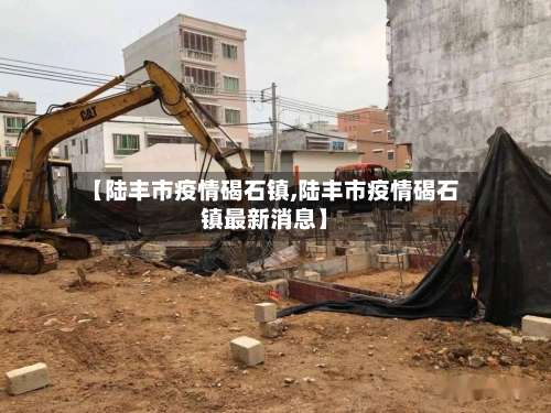 【陆丰市疫情碣石镇,陆丰市疫情碣石镇最新消息】-第2张图片
