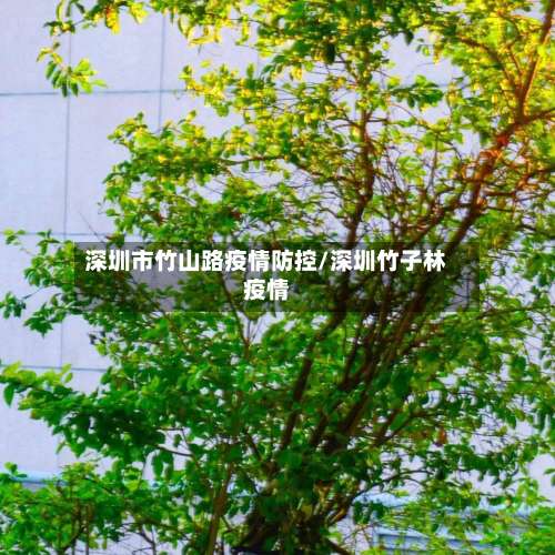 深圳市竹山路疫情防控/深圳竹子林疫情-第1张图片