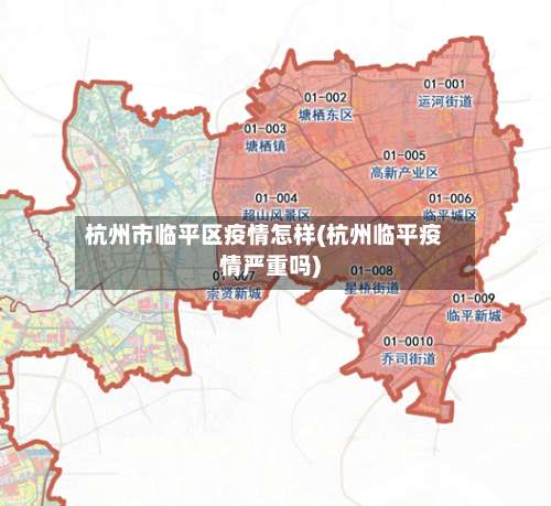 杭州市临平区疫情怎样(杭州临平疫情严重吗)-第2张图片