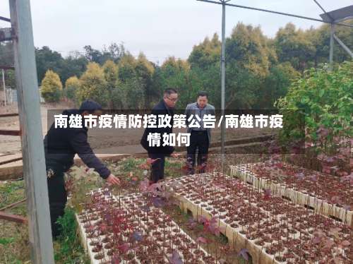 南雄市疫情防控政策公告/南雄市疫情如何-第1张图片