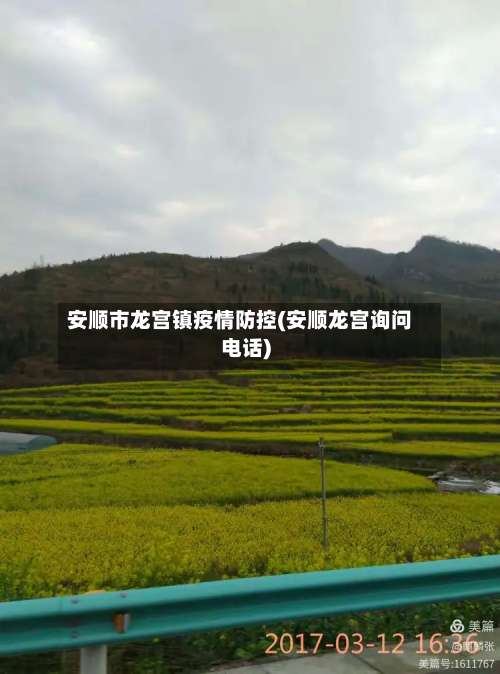 安顺市龙宫镇疫情防控(安顺龙宫询问电话)-第1张图片
