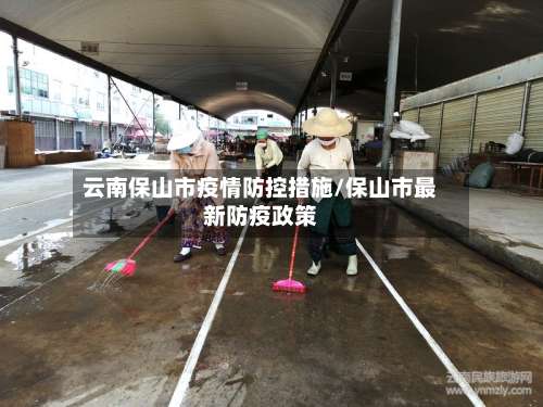 云南保山市疫情防控措施/保山市最新防疫政策-第1张图片