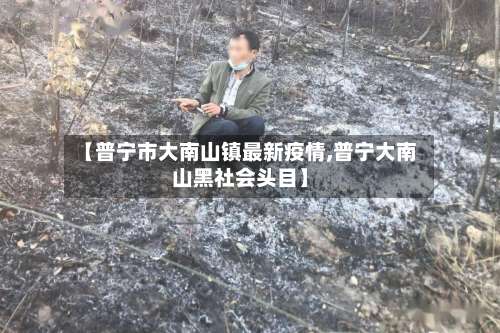 【普宁市大南山镇最新疫情,普宁大南山黑社会头目】-第2张图片