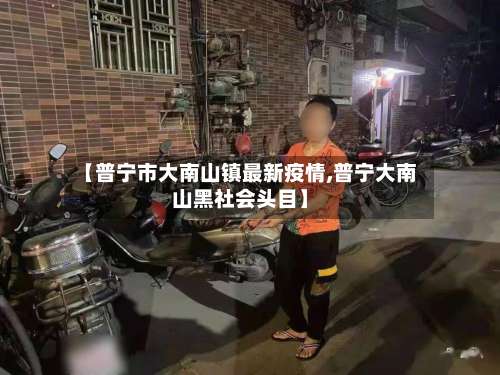 【普宁市大南山镇最新疫情,普宁大南山黑社会头目】-第3张图片