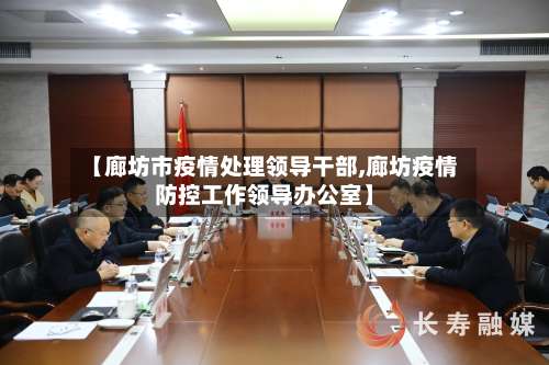 【廊坊市疫情处理领导干部,廊坊疫情防控工作领导办公室】-第1张图片