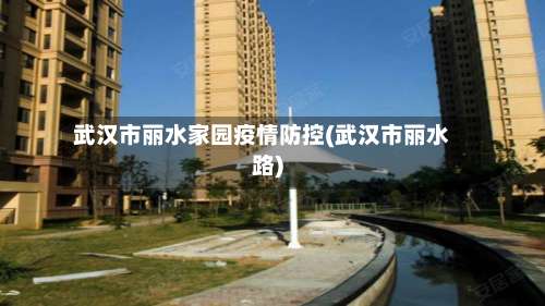 武汉市丽水家园疫情防控(武汉市丽水路)-第3张图片