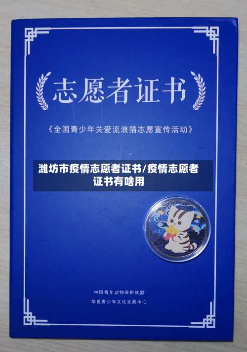 潍坊市疫情志愿者证书/疫情志愿者证书有啥用-第3张图片