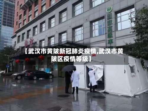 【武汉市黄陂新冠肺炎疫情,武汉市黄陂区疫情等级】-第1张图片