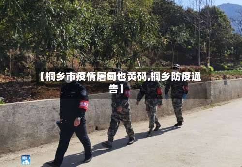 【桐乡市疫情屠甸也黄码,桐乡防疫通告】-第1张图片
