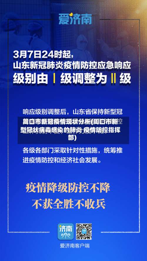 周口市新冠疫情现状分析(周口市新型冠状病毒感染的肺炎 疫情防控指挥部)-第2张图片