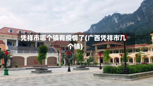 凭祥市哪个镇有疫情了(广西凭祥市几个镇)-第1张图片