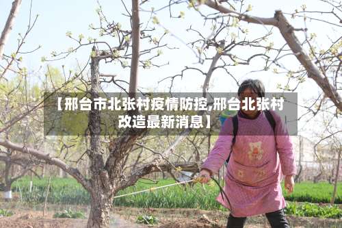 【邢台市北张村疫情防控,邢台北张村改造最新消息】-第1张图片