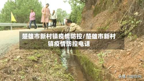 楚雄市新村镇疫情防控/楚雄市新村镇疫情防控电话-第1张图片