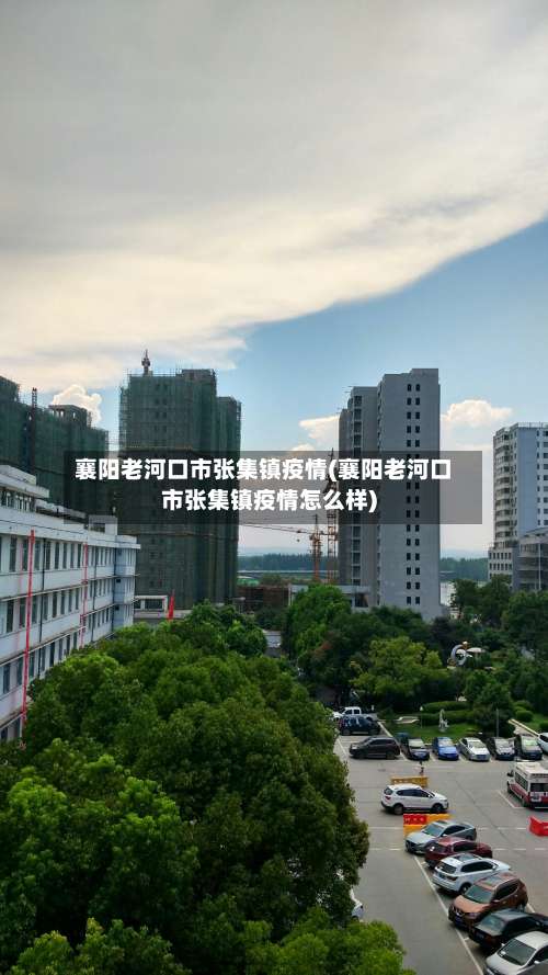 襄阳老河口市张集镇疫情(襄阳老河口市张集镇疫情怎么样)-第1张图片