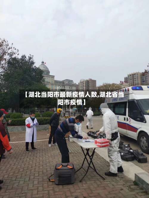 【湖北当阳市最新疫情人数,湖北省当阳市疫情】-第3张图片