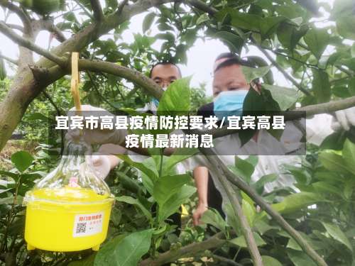 宜宾市高县疫情防控要求/宜宾高县疫情最新消息-第2张图片