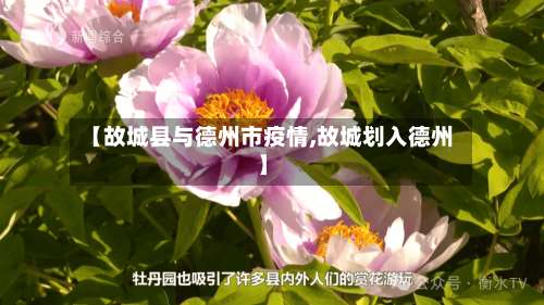 【故城县与德州市疫情,故城划入德州】-第2张图片