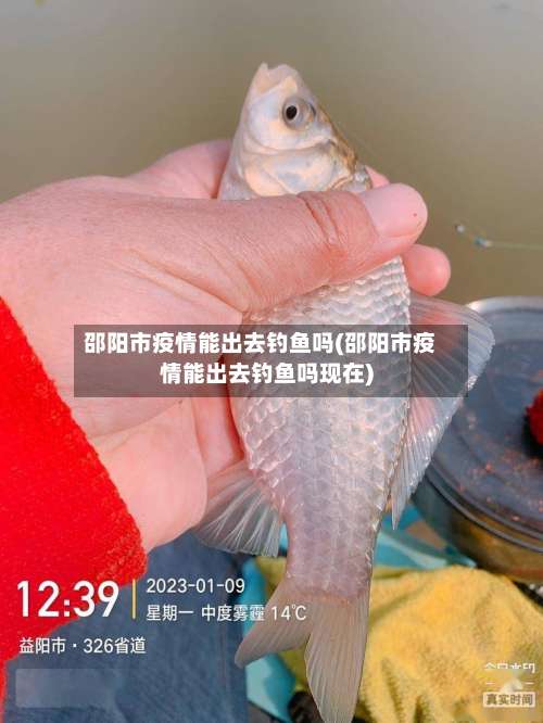 邵阳市疫情能出去钓鱼吗(邵阳市疫情能出去钓鱼吗现在)-第1张图片