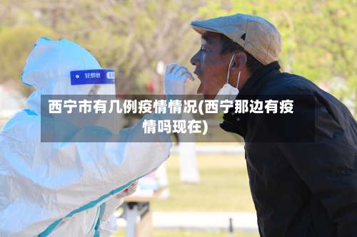 西宁市有几例疫情情况(西宁那边有疫情吗现在)-第1张图片