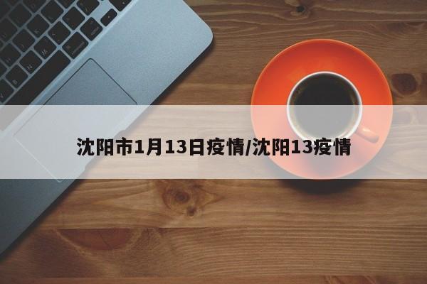 沈阳市1月13日疫情/沈阳13疫情